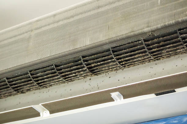 Best Professional Duct Cleaning Services  in Pinellas Park, FL